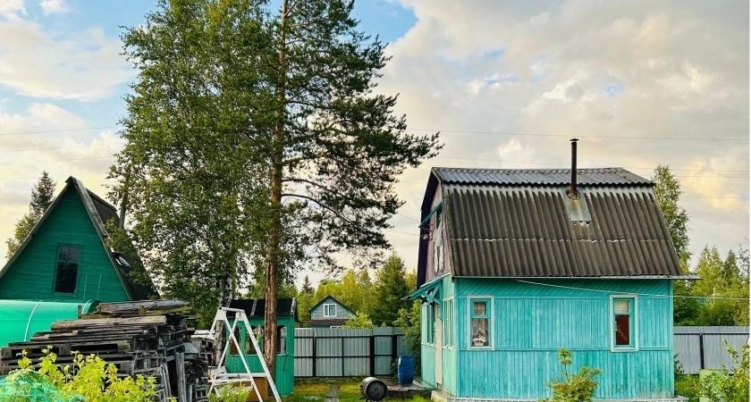 Курятники под строжайшим запретом: принято новое решение для граждан, которые держат кур