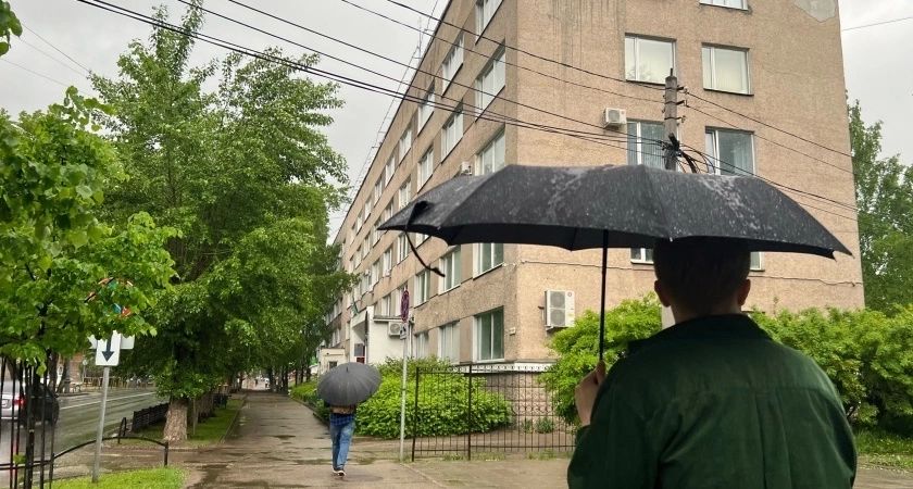 Каким будет лето 2025 после аномально теплой зимы: эксперты рассказали, к чему должны быть готовы садоводы