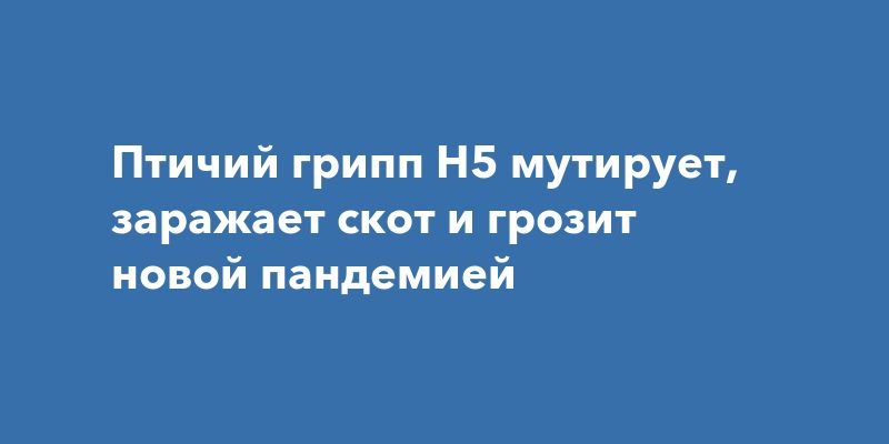 Птичий грипп H5 мутирует, заражает скот и грозит новой пандемией