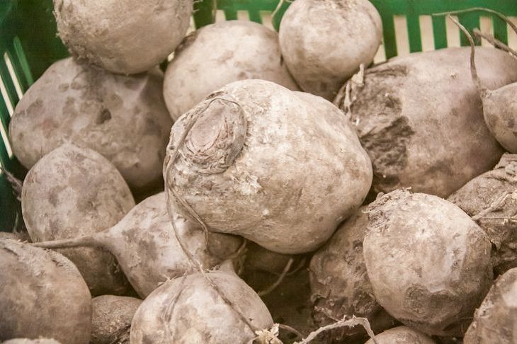 Не отнимайте пользу и вкус долгой варкой свеклы: вот как приготовить ее в разы быстрее – без духовки и микроволновки