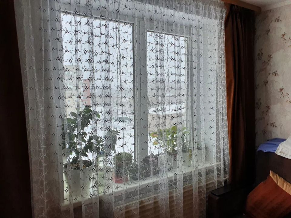 Забудьте о ярком свете: 10 растений, которые thrive в тени