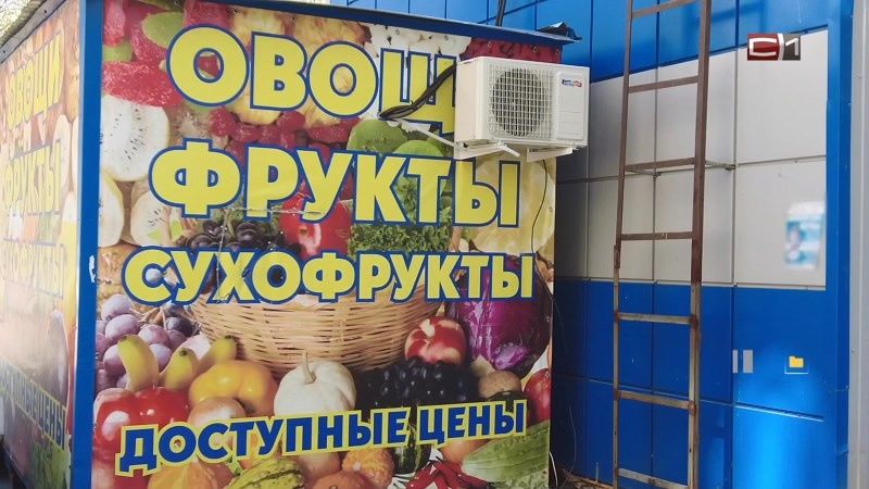Сравнение сушеных и вяленых фруктов: что выбрать для здоровья?