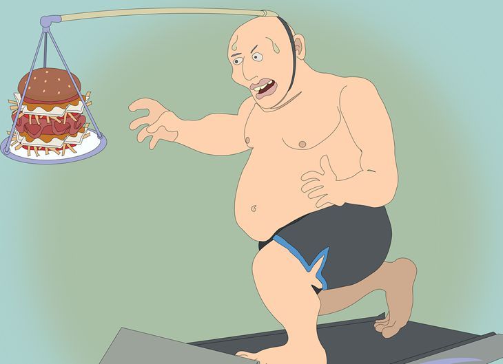 Ешь всё и худей: правда ли работает правило 30-30-30?