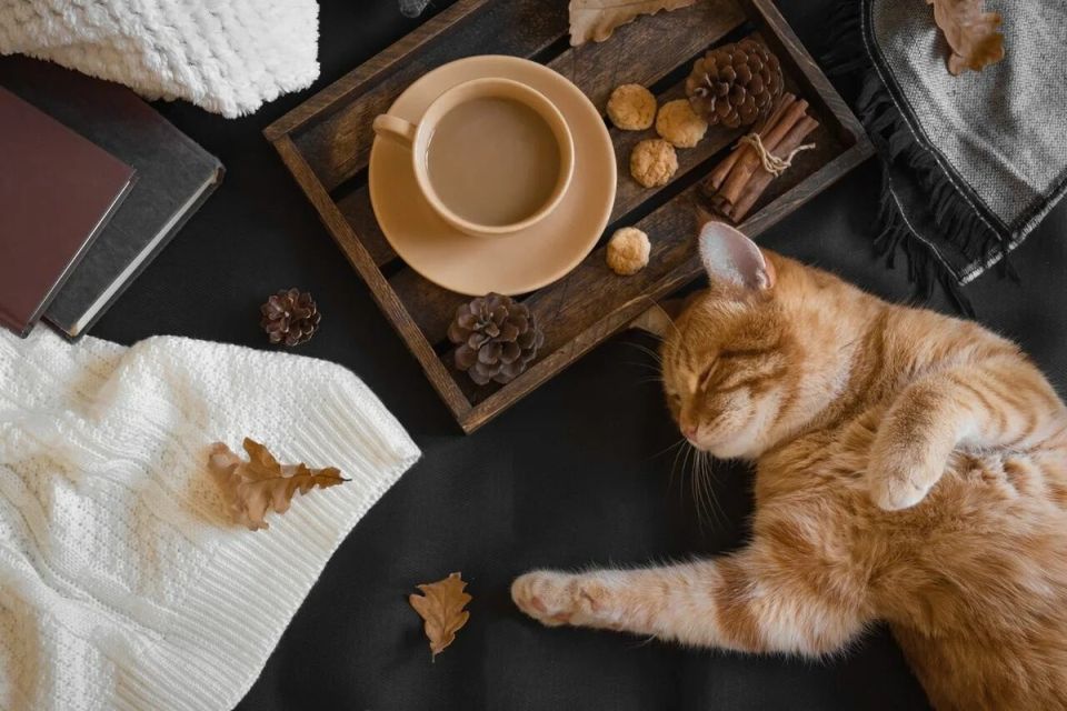 Кофе как уютный ритуал в промозглые дни