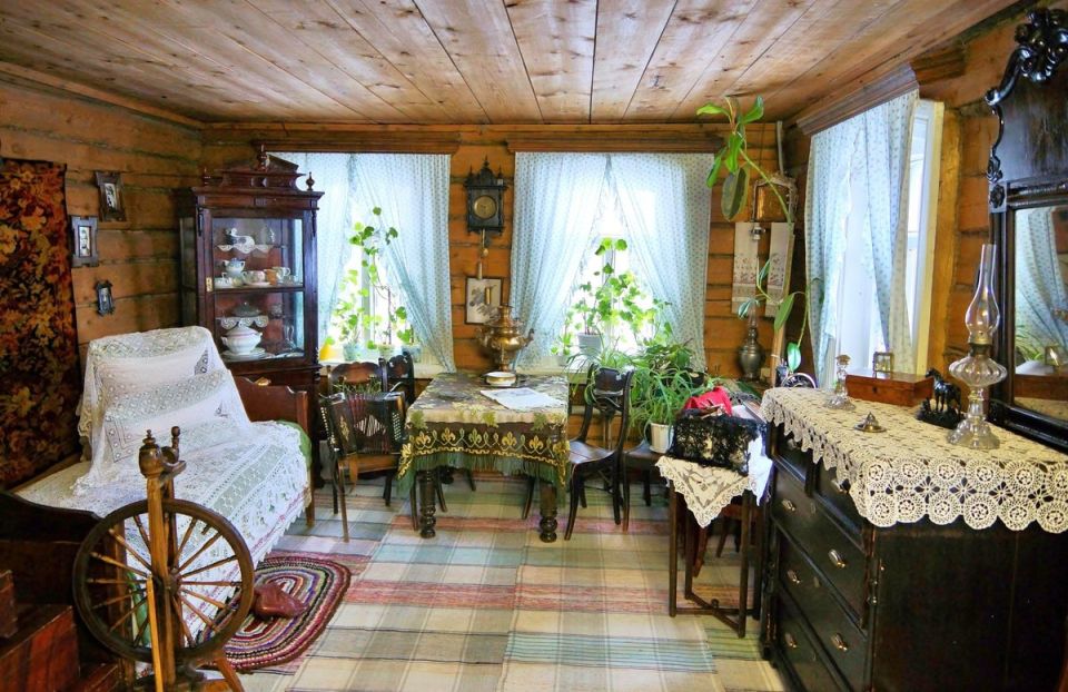 Комнатные растения, которые поднимают настроение: nostalgia бабушек