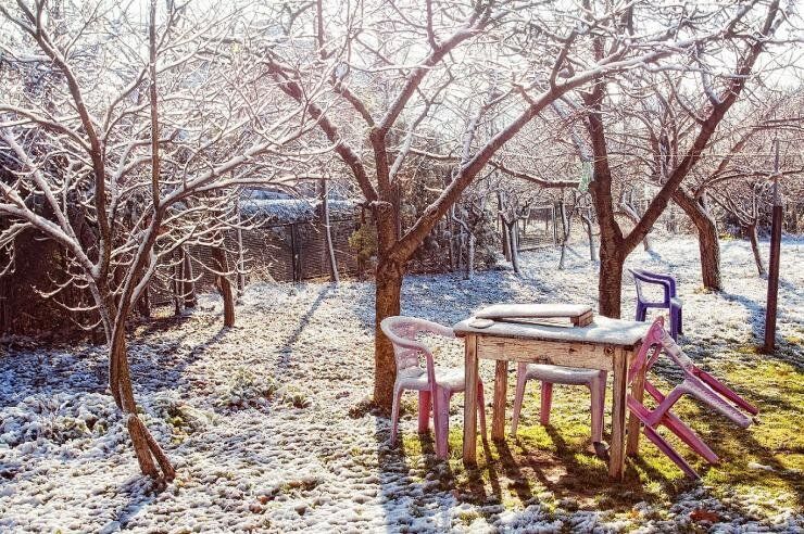 Лунный календарь садово-огородных работ с 7 по 13 ноября