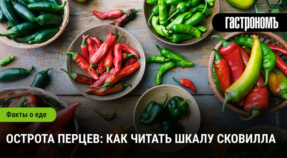 Погружение в мир остроты