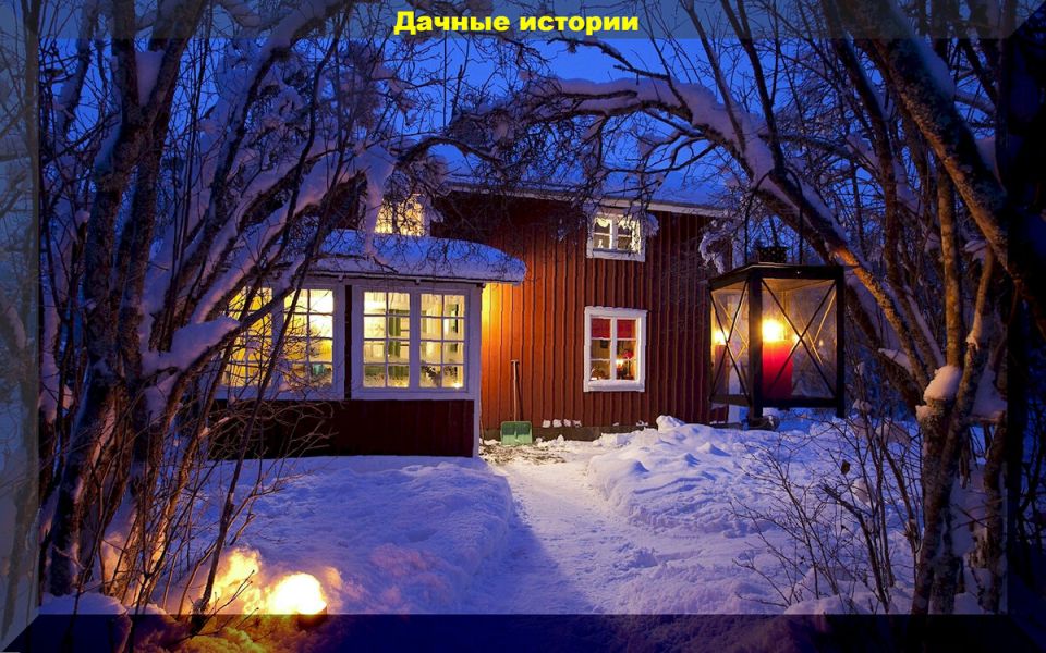 Дачные советы: ответы на самые актуальные вопросы начинающих садоводов