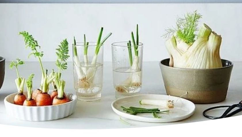 ��� ��������� ���������� ��� �� ���� �����: ������ ��� ��������� �����������