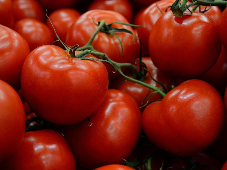Как легко очистить помидоры: секреты профессионалов