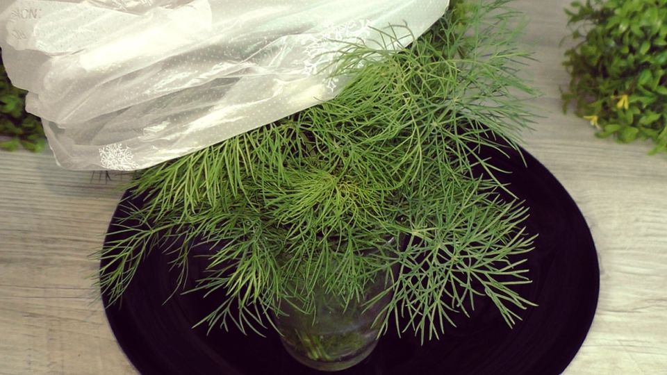 ����� �������� ������: ��� ��������� �� �� ���������