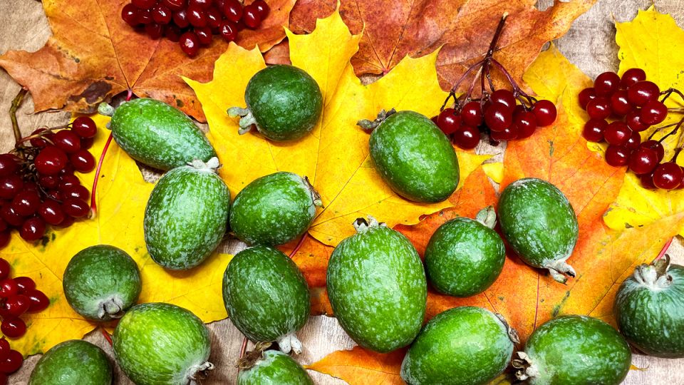 Как сохранить летний вкус фейхоа на зиму: секреты компота