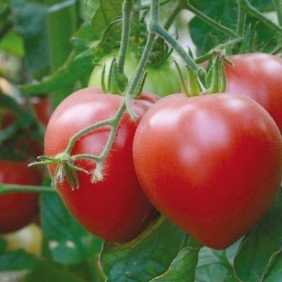 ����� 100 ���������: ��� �������� ������ � ���������