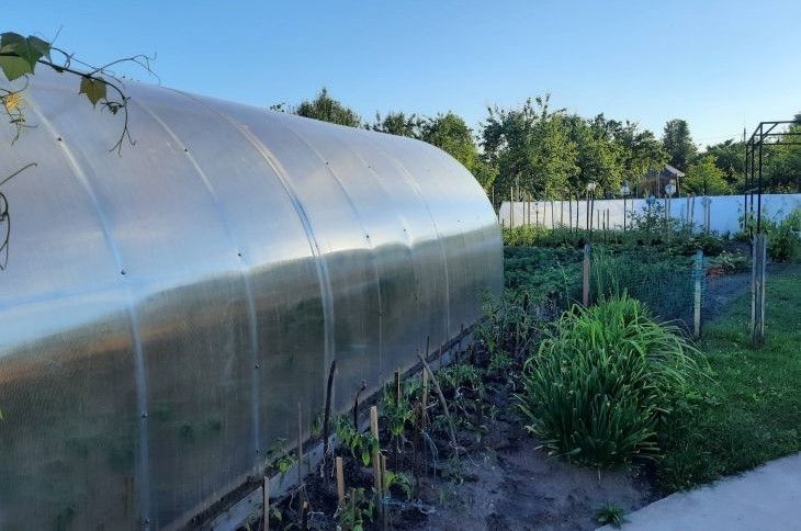 ��� ���������� �� ������� � �������: ������������� ��������