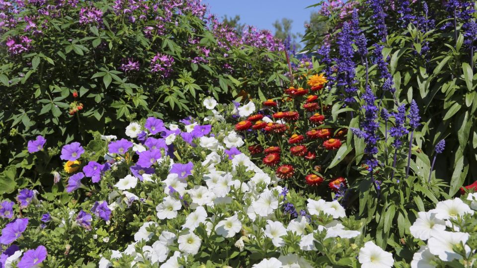 ��� ������� � ���������: ��� ����������� ����� ������ ��� ������� �� ����� �������