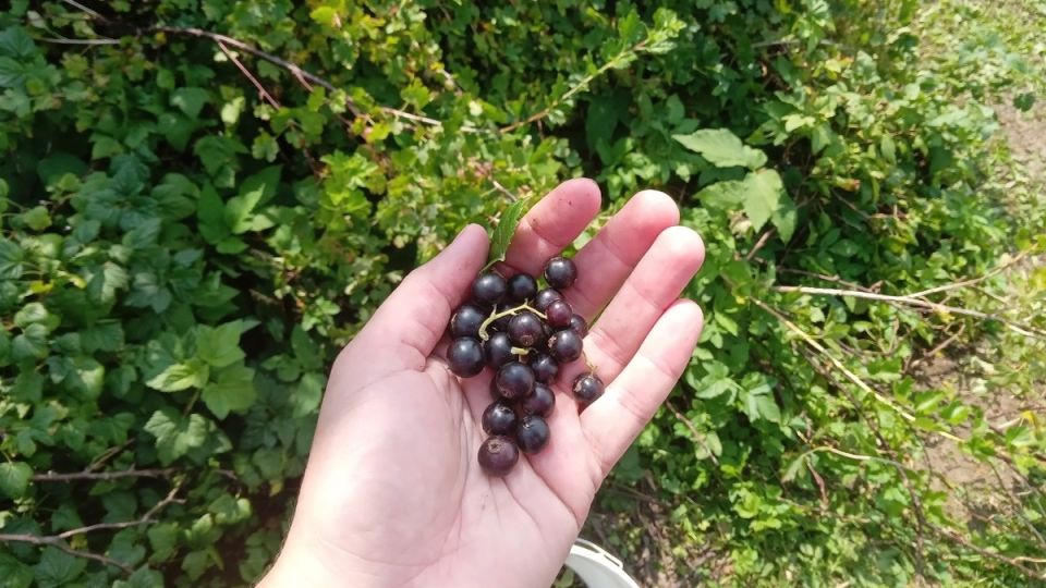 ��� ��������� �� ���������� � �������: ������ � ��������� ����� ��� ���� �������� ������