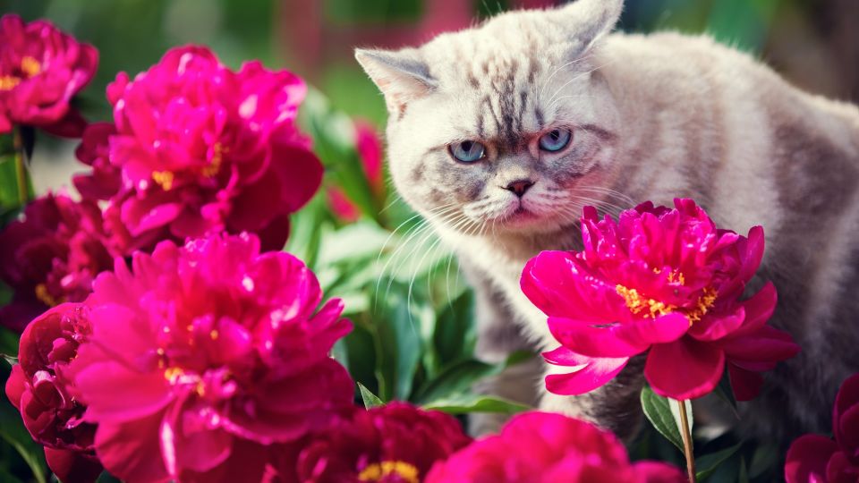 ������� ���������� ������� ������ � ������: ���������� �� ����� ��� ���