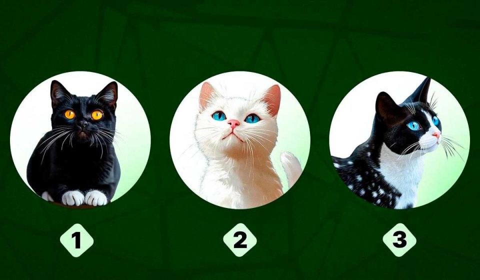 ��� ������ ������ ����: ��������� ���� �� �������� � ������