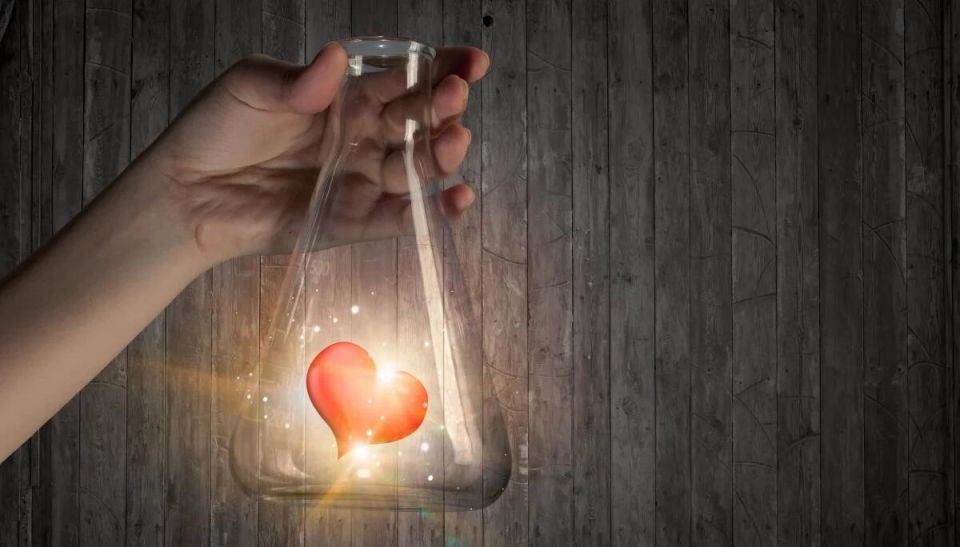 ����� �������, ������� � ����� �������