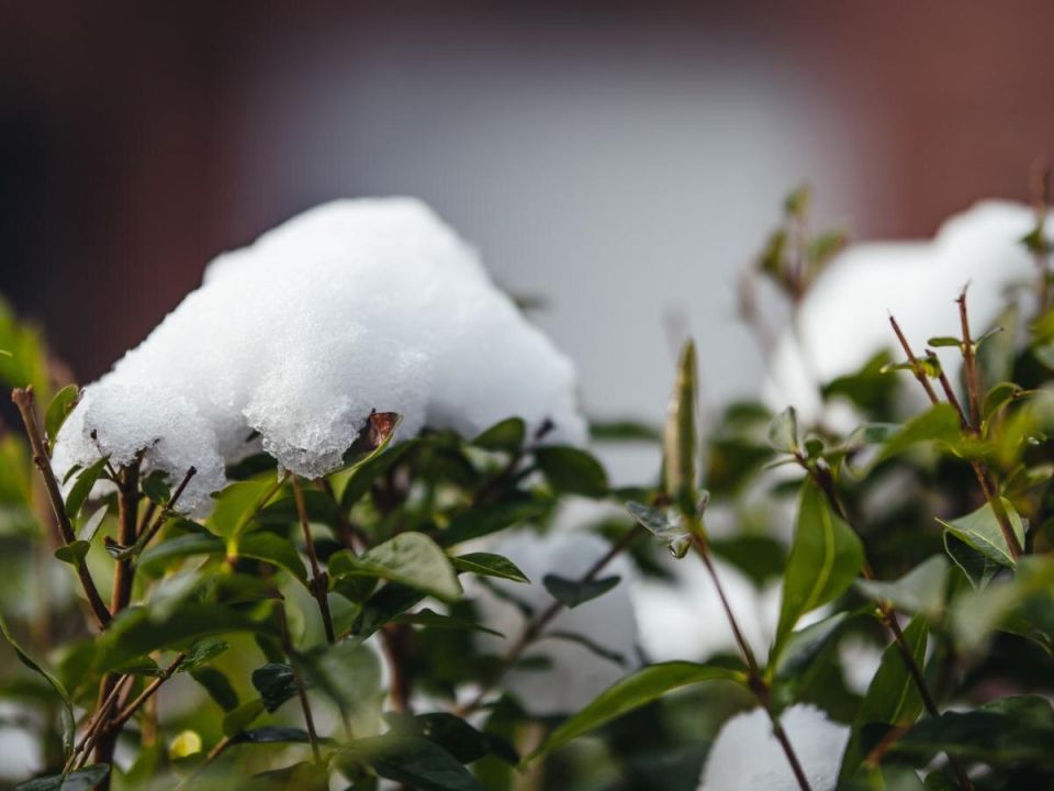 ��� ���� �������� ����� ���������� � ������ ������