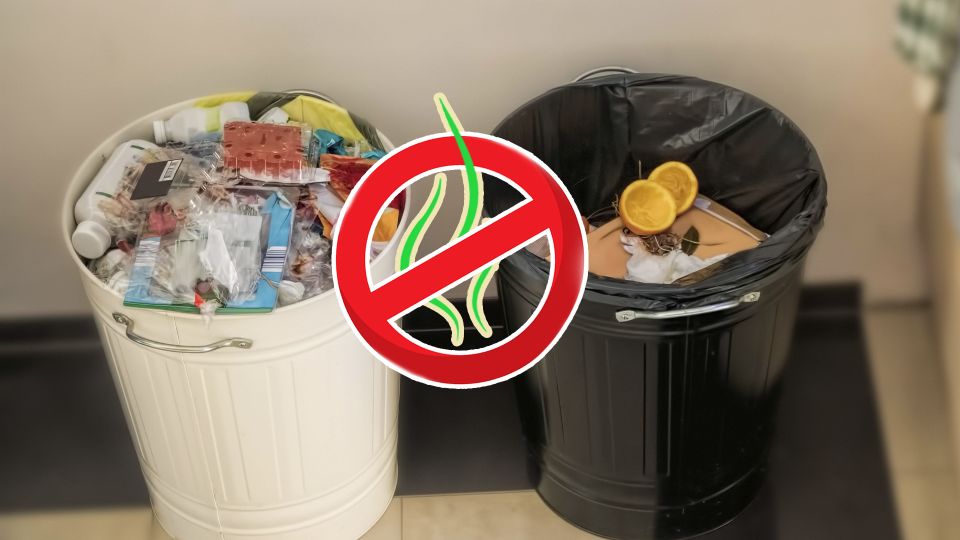 �� ��������� ����� �� ����� ������ �� ��� �����: ������� �� ��� ��������