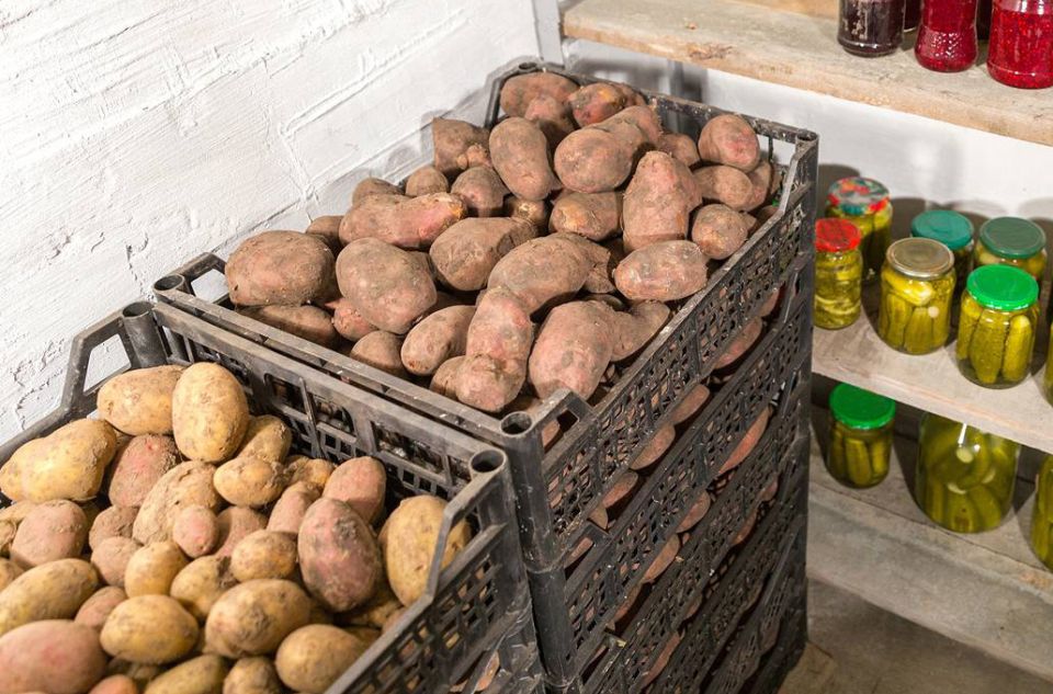 ������� �������� ��������: ��� �������� �������� �� ����