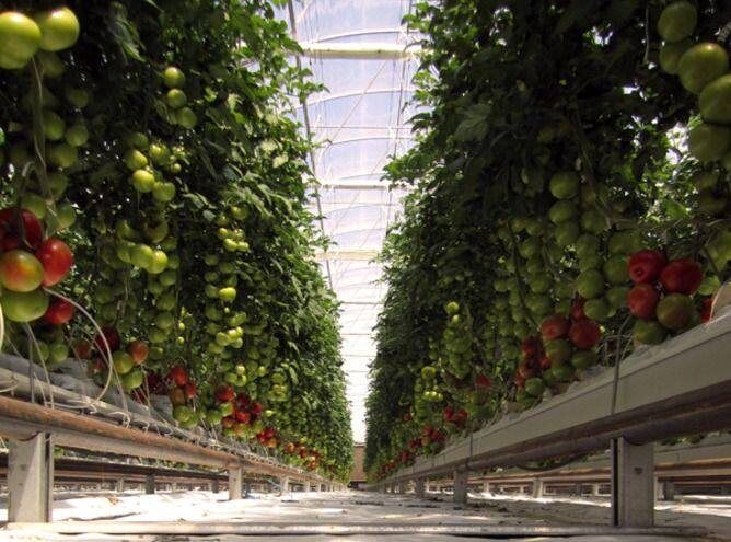 � ������� ������� ������: ��� ����� ��������� �������� ������� ���� � ���������