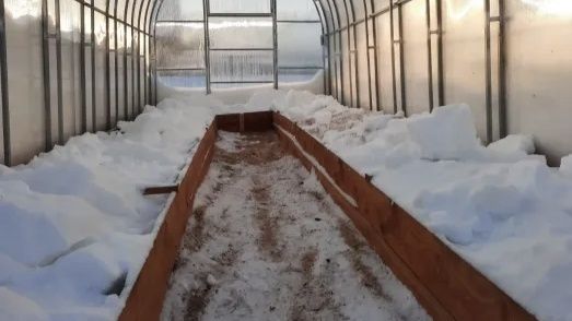 Как снег в теплице может помочь или навредить вашему урожаю?