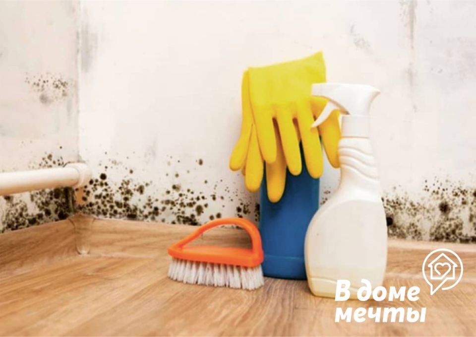 Эффективные народные средства для борьбы с плесенью в доме