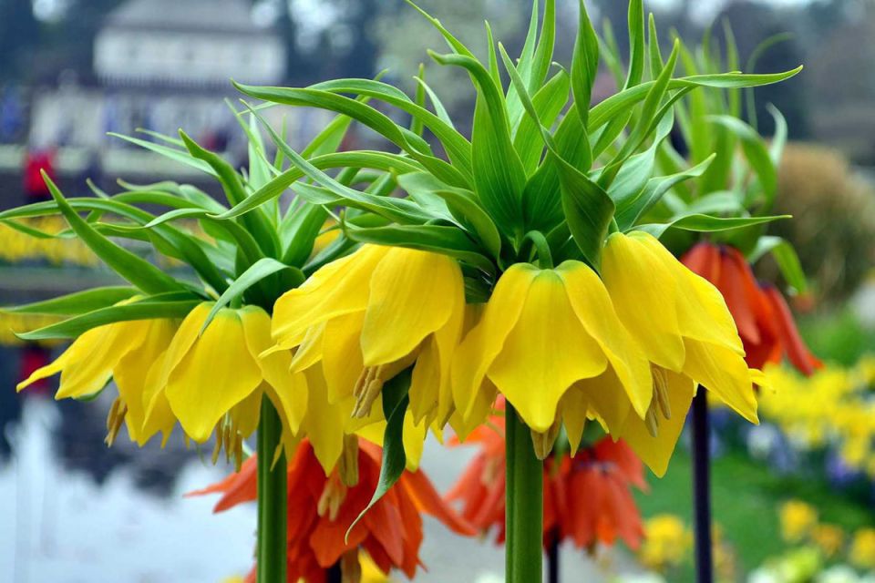 ������: ��� ��������� ���� ���������� ������ � ����� ����