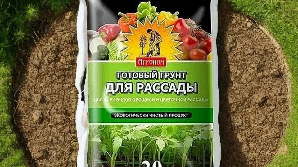 Как промораживание грунта улучшает рост рассады: неожиданные результаты эксперимента