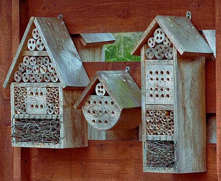 ������ ��� ���������: ������������� ������������� ��� ������ ���������?