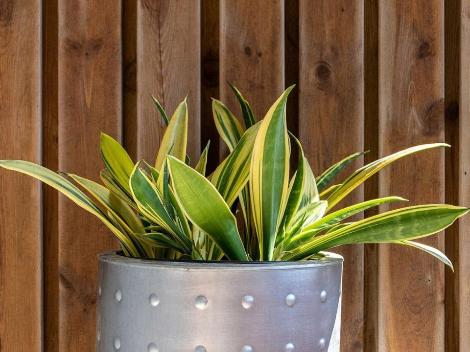 ���� � ������: ��� ��������� �������� ���������� ����������� � �������� ����