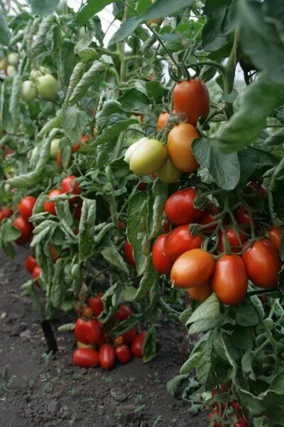 �����: ������ �������������� ����� ��� ��������� � �������