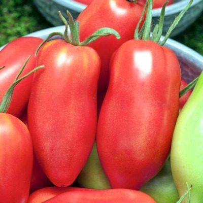 ����� ��������� ���������: ���������� ����� ��� ����������� � ��������