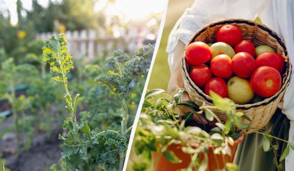 ��� ������ ������ ����� � ���������� � ������ ��� ������ �� ������