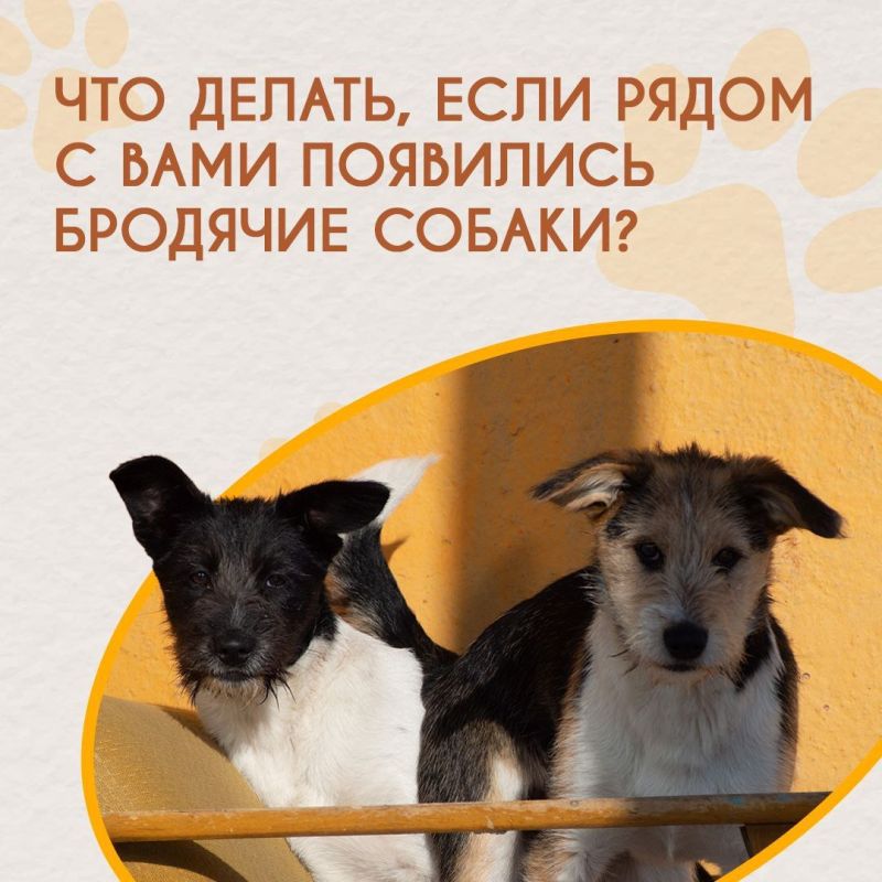 ,  !.        ,      ,     ,    