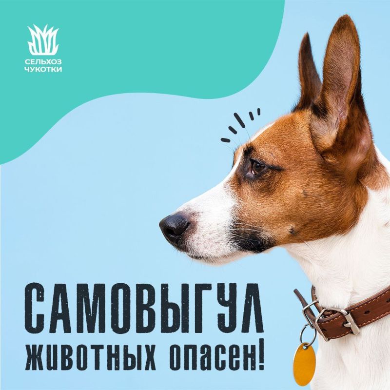 ,  !.         