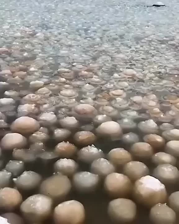 #.      ,  ,     