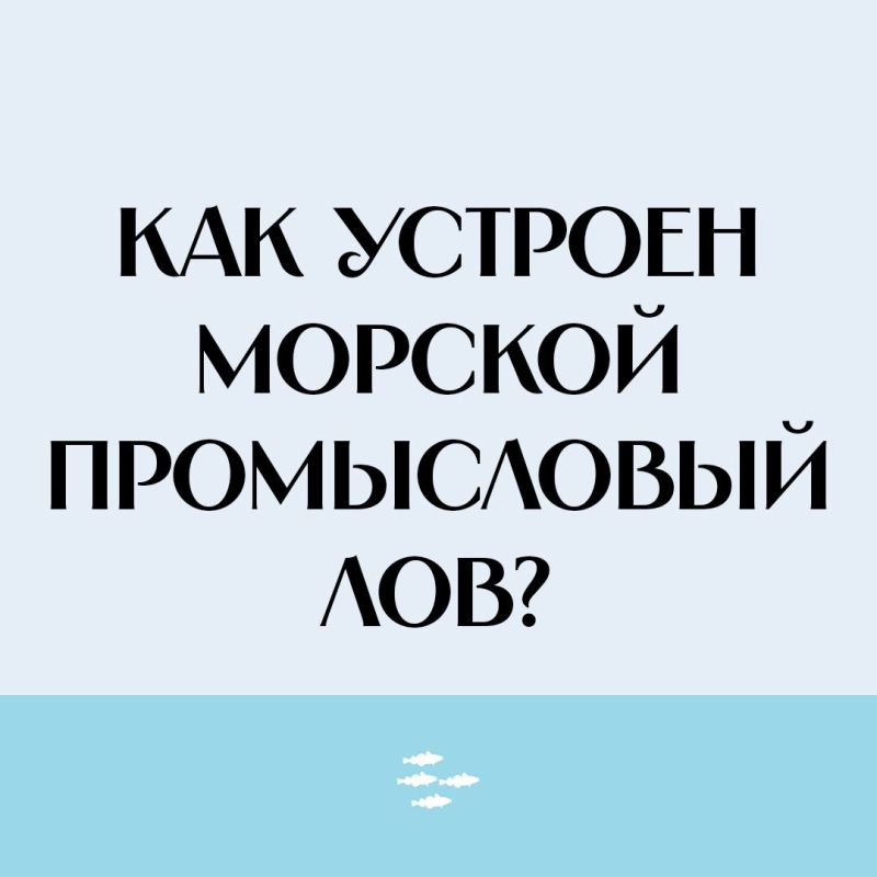   ..   ,   : ,  , ,    ..         .   ,  ...