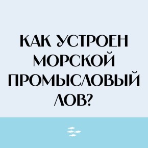   ..   ,   : ,  , ,    ..         .   ,  ...