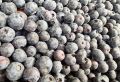 Черника и гранат: какой продукт содержит больше антиоксидантов для волос