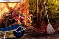 Подготовка сада к зиме: ключевые шаги