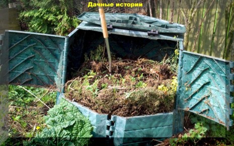 Как получить качественный компост за полгода: секреты быстрого разложения