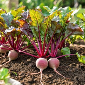 Как достичь обильного урожая свеклы: эффективные методы борьбы с вредителями