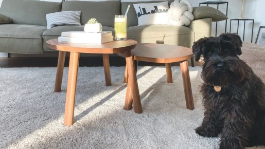 Химчистка не понадобится: вот как убрать жирный след от мяса с ковра