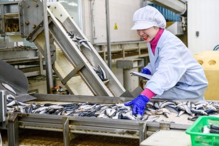 Россия на рыночном олимп: экспорт рыбы в 2025 году может достигнуть 6 миллиардов долларов