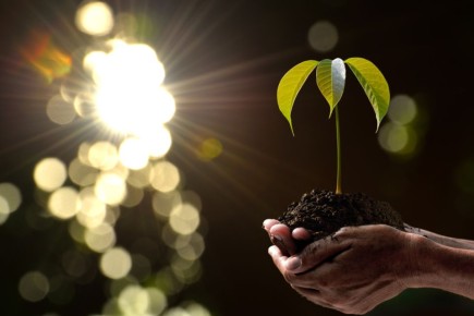 Как дачники меняют климатические реалии к лучшему