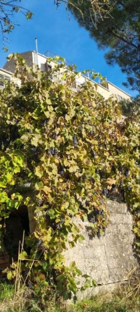 Как еда стала центром нашей жизни: последние кулинарные идеи и зарисовки