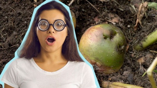 Хотели как лучше: этими действиями вы превращаете картофель в яд
